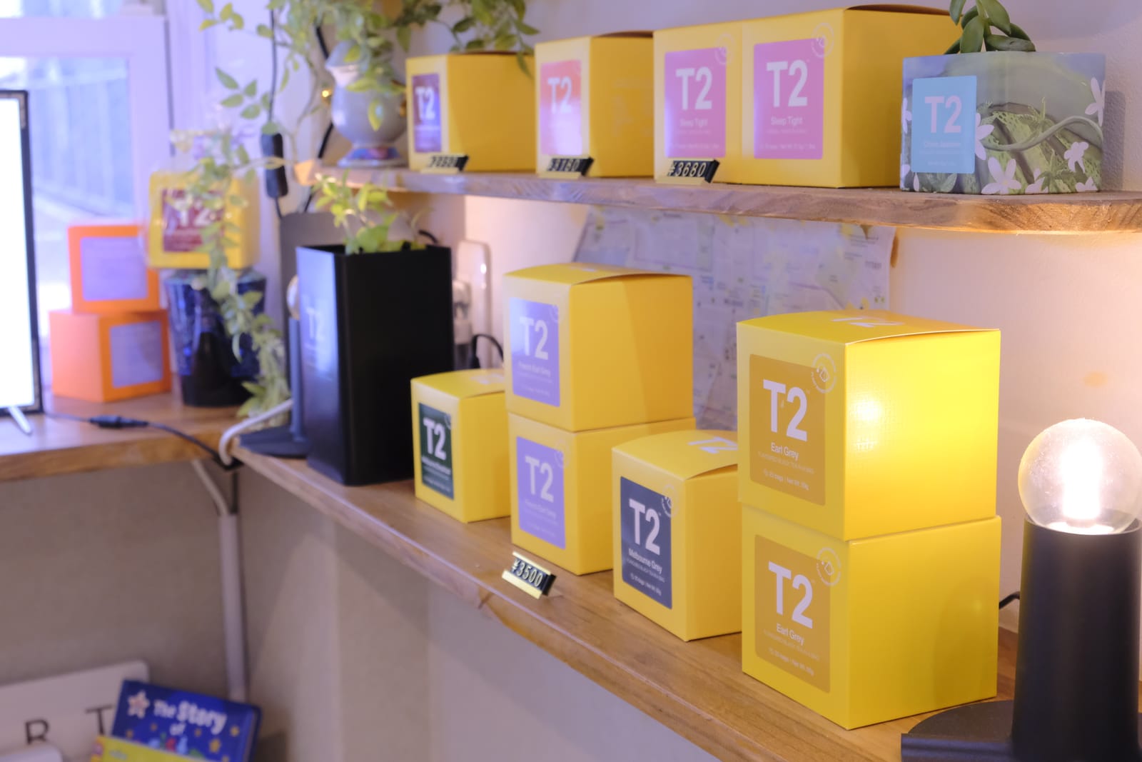 T2 tea boxes on shelves